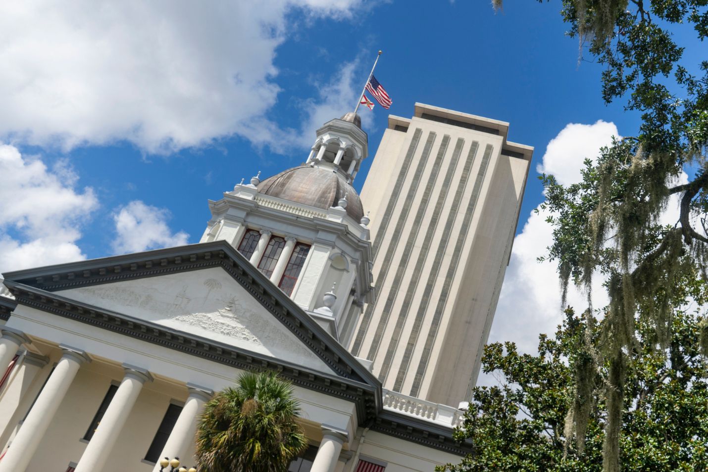 Florida Contractor Licensing provisions